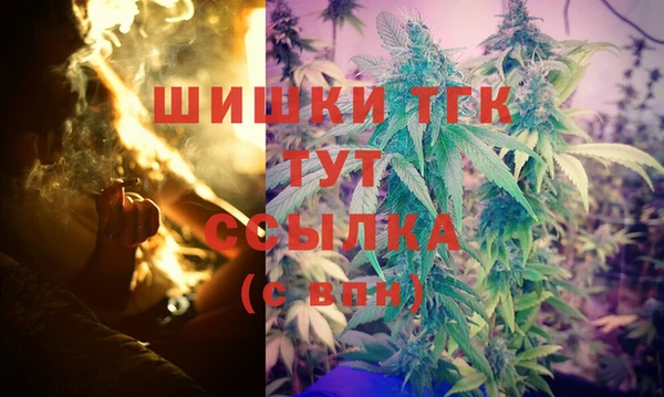 шишки Каменка