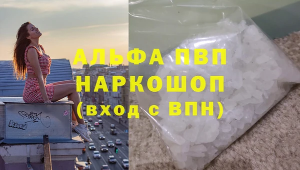 ECSTASY Пестово