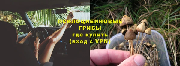 mix Осинники