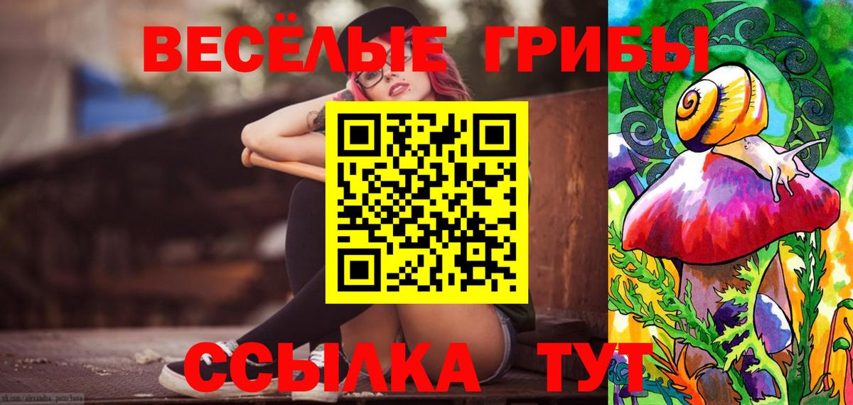 Псилоцибиновые грибы GOLDEN TEACHER Кушва